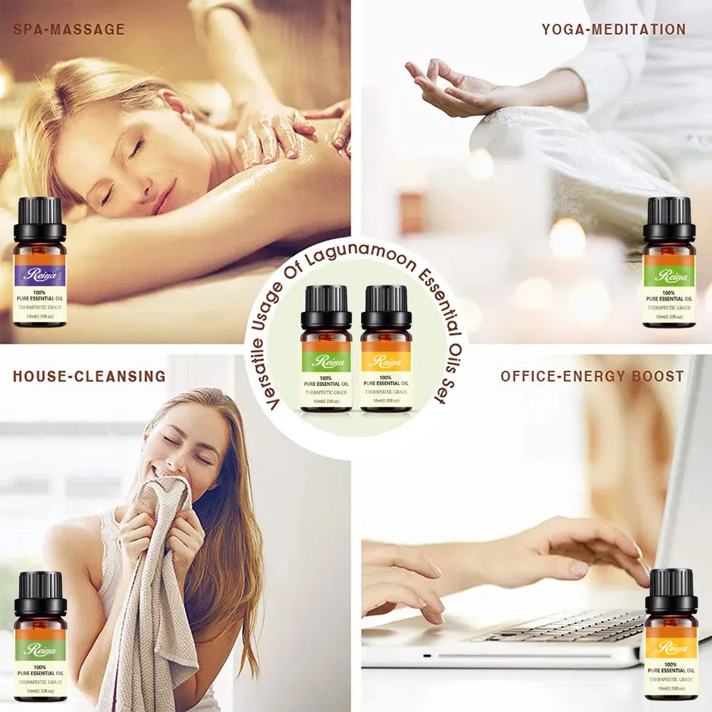 중국 제조 뜨거운 판매 낮은 MOQ OEM/ODM 화장품 포장 용기 유리 향수병 마사지 에센셜 오일 병 플라스틱 뚜껑 Dropper 캡